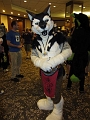 PIT_Anthrocon2013 (46)